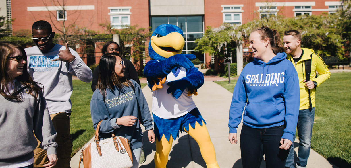 Admitted Student Information Spalding University