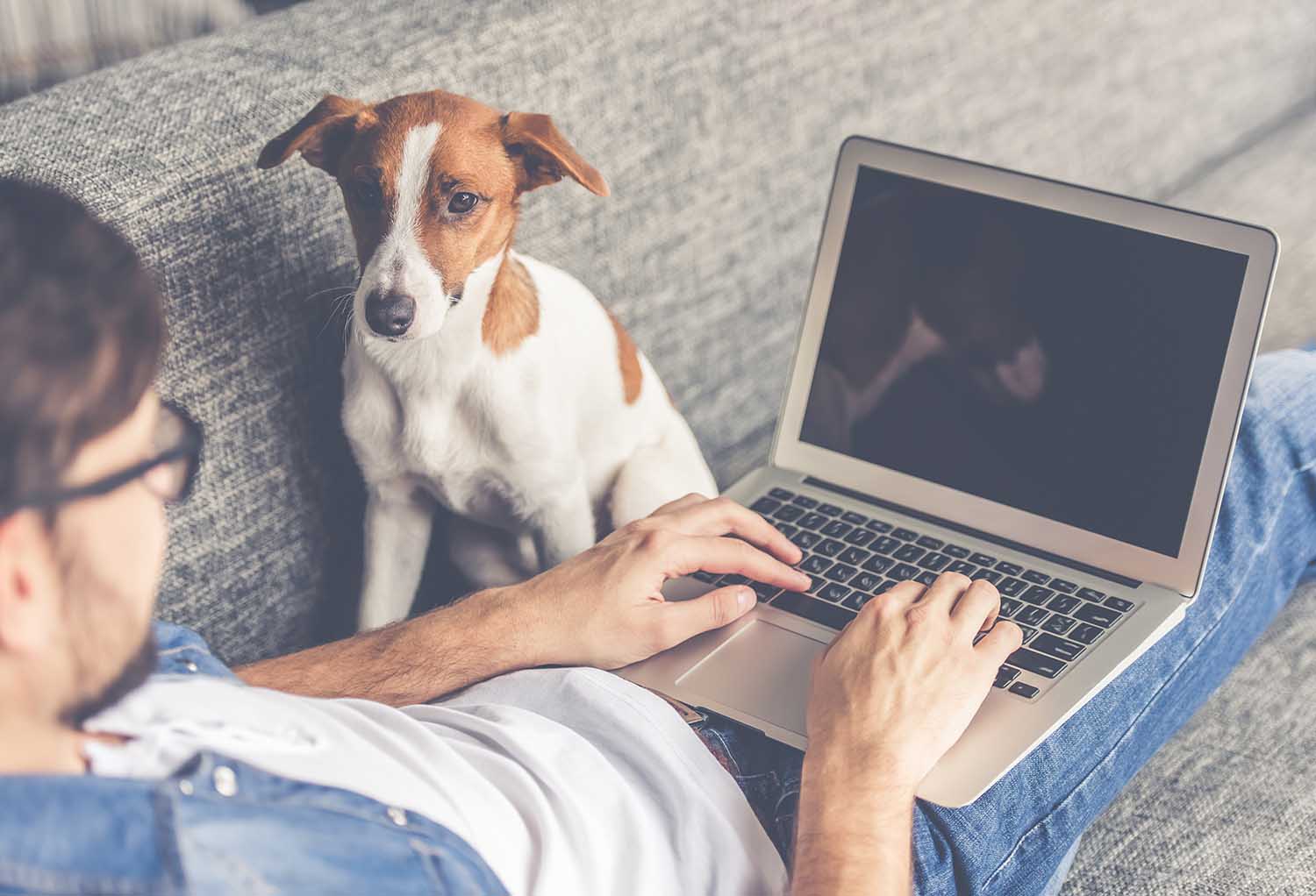 Online student working on laptop while dog watches
