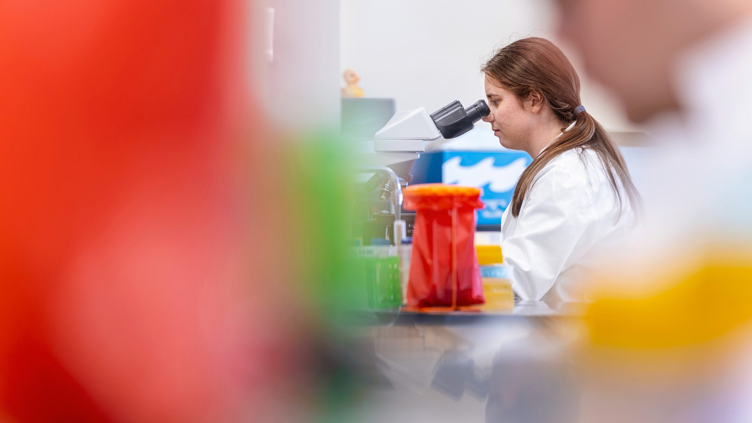 Student uses microscope in bachelor of science in biology program