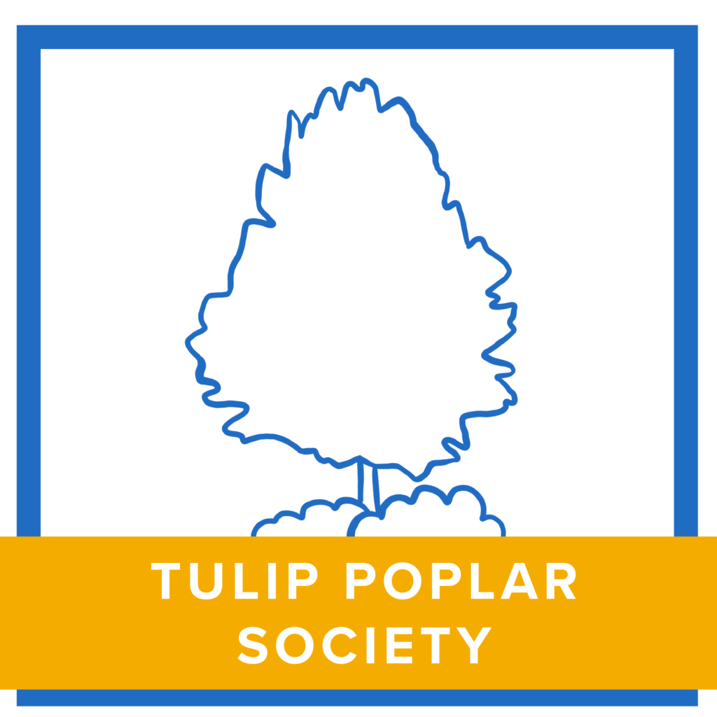 blue pencil outline of a poplar tree with text that reads: Tulip Poplar Society