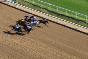horses during race around track